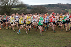 Senior men, 2018 Northern Cross Country Champs., Harewood House, Leeds. Photo: David T. Hewitson/Sports for All Pics